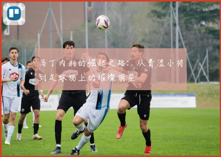 马丁内利的崛起之路：从青涩小将到足球场上的璀璨明星