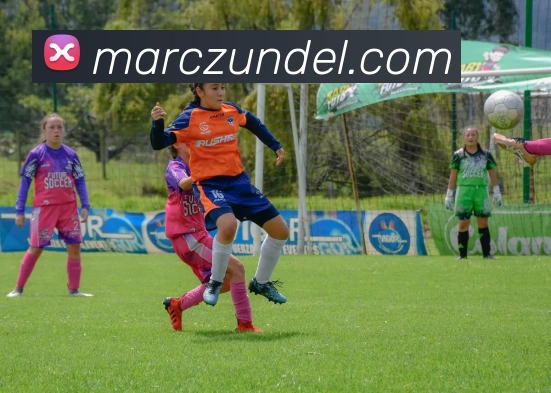 App Interface Preview