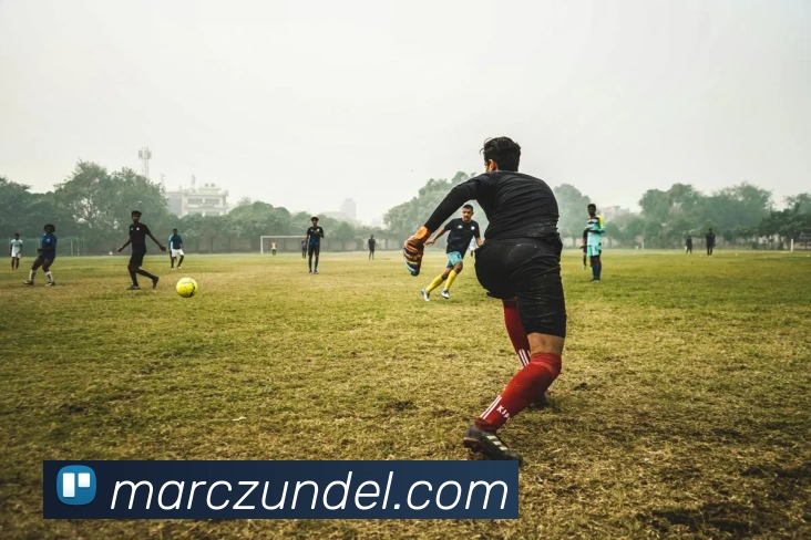 开云体育APP 封面图